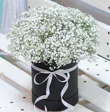 Цветочная композиция из Гипсофила в шляпной коробке #REPLACE_PRED# Теряево